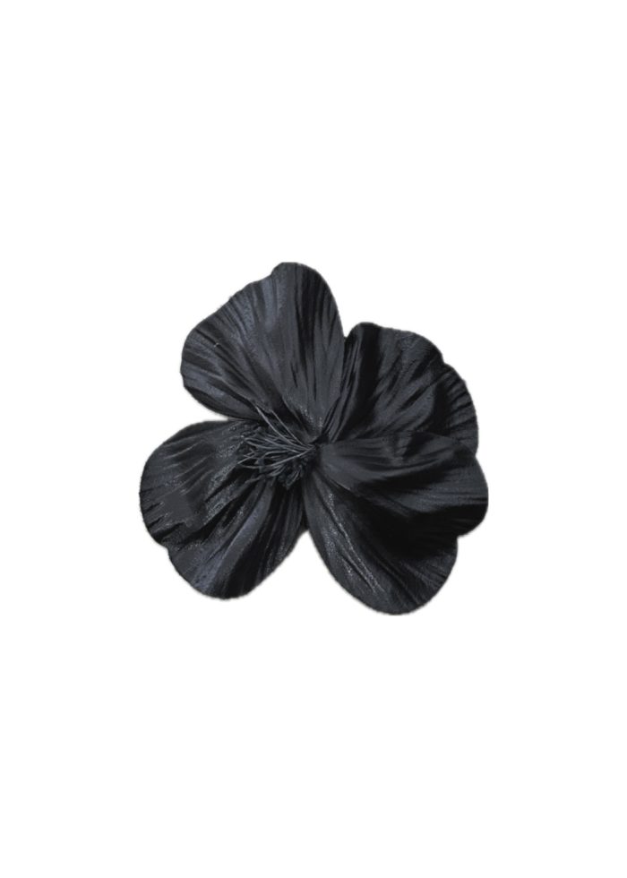 DA94D15052A291F7DFD1885C94CBAC9B2FF45136